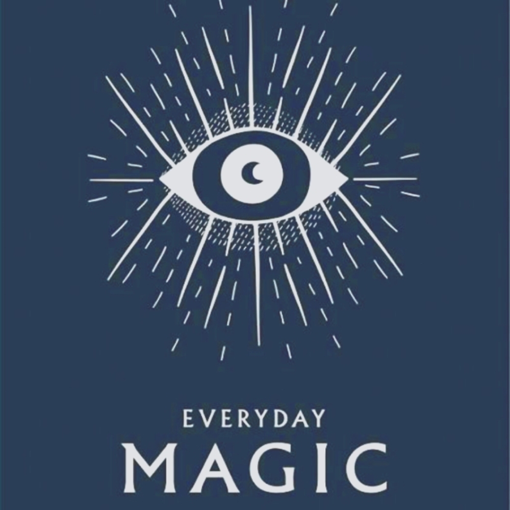 Everyday Magic (Hard Cover)